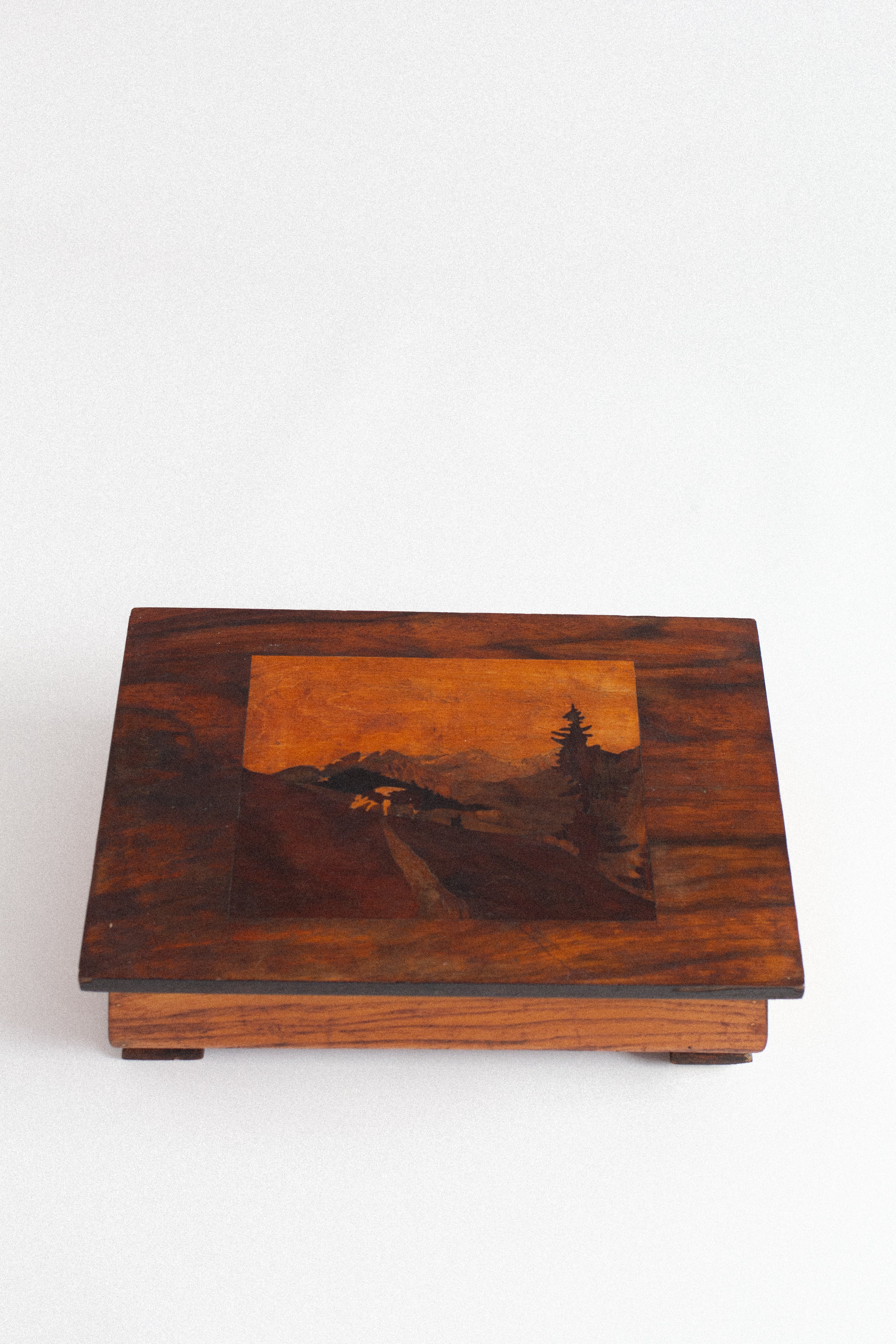 Alpine Landscape Marquetry Box