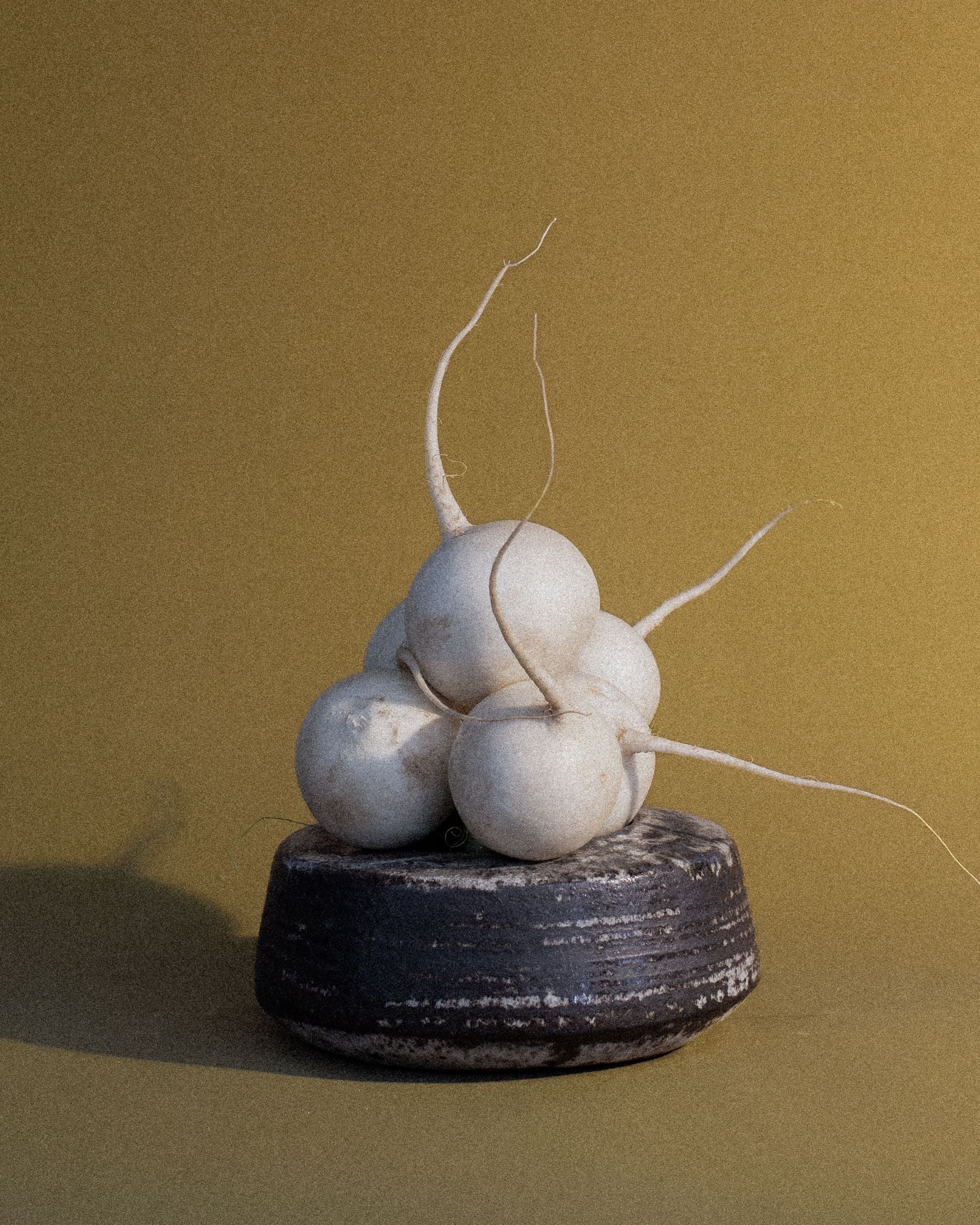 Low Ceramic Vessel with Wide Opening